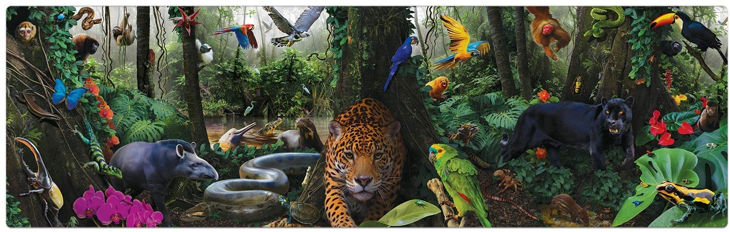 Quebra cabeças 1500 peças Floresta Amazônica panorâmico - Puzzle Game  Office Toyster - Adulto