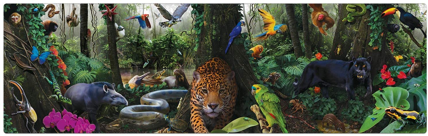 Quebra-Cabeça Puzzle Natureza Brasileira Panorâmico 1500 peças – Toyster